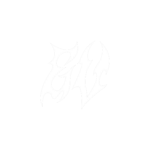 Elevated Vision
